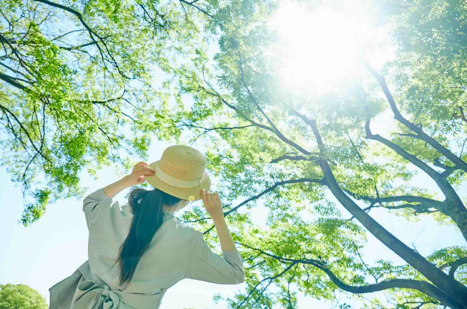 紫外線