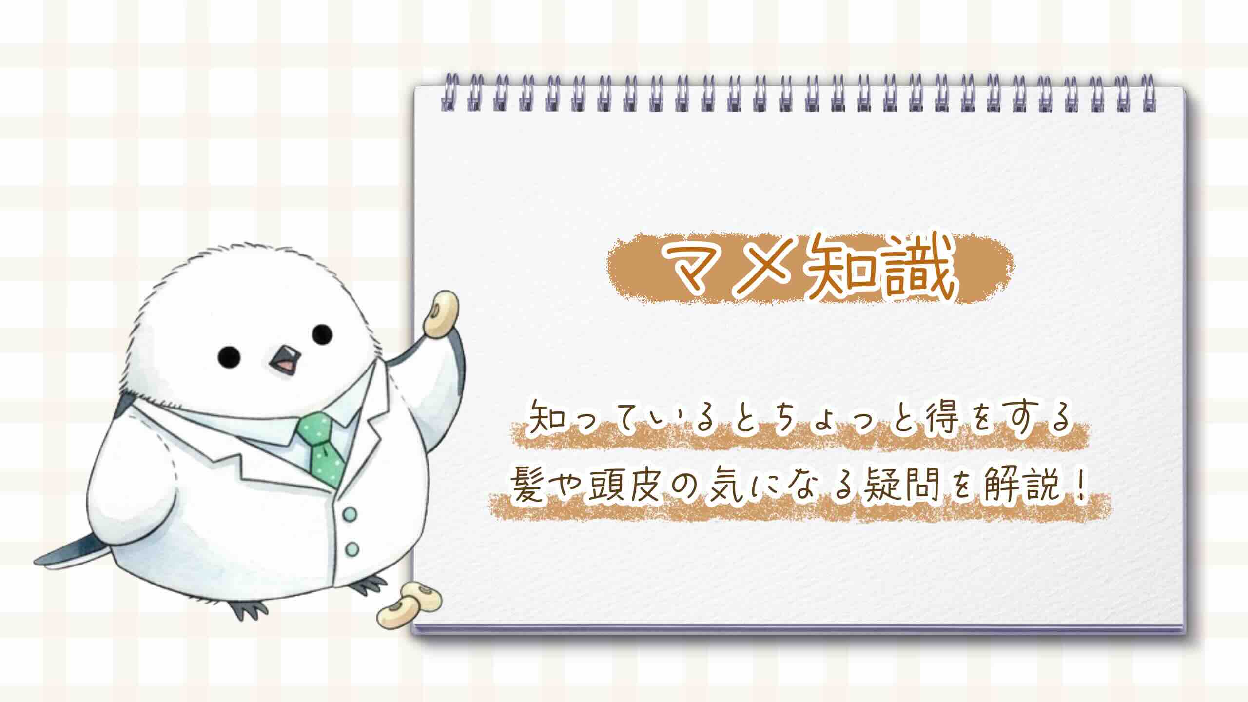 「マメ知識」のアイキャッチ画像